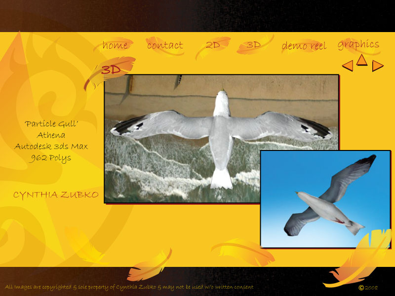 gull